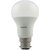 Philips 13 W LED B22 Cool Day Light Bulb