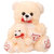 Kashish Toys Beige Cloth Teddy Bear
