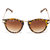 Danny Daze Cat Eye D-2503-C3 Sunglasses