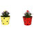 TrustBasket Set of 2 - Single Pot Railing Planter - Red and Yellow