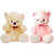 Ttabby Toys Butter Teddy Bear-36cm  Cute Pink Color Teddy-32cm