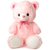 Ttabby Toys Butter Teddy Bear-36cm  Cute Pink Color Teddy-32cm