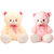 Tabby Toys Cute  Innocent teddy Bear Combo-32cm