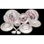 Set Of 6 Pcs Trendy White Melamine Half/ Quarter Dinner Plates - Design 5
