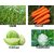 Seeds-Easy Gardening Chilli, Carrot, Cabbage, Cauliflower F1 Hybrid (25 Per Packet)