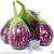 Seeds-Eggplant - Brinjal (Oval) Heavy Bearing Vegetable 50 Nos(Diwali Sale)
