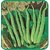 Seeds-Ridge Gourd F1 Hybrid Vegetable By Kraft Kitchen  Home
