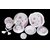 Set Of 12 Pcs Trendy White Melamine Half/ Quarter Dinner Plates - Design 3