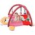 Tabby Toys Multi Design Foldable Activity Musical Gym For Baby (Multicolor)