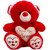 Sayees gift  novelties Teddy Bear