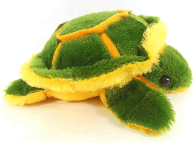 tortoise teddy