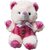 Toys Sweet Pink Teddy