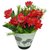 Go Hooked Red  Green Artificial Flowers with Pot - GRDPWTPKFLWRBIGBDI