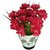 Go Hooked Alluring Red  Green Artificial Flowers with Pot - GRDPWTPKFLWRBIG
