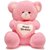Rushi Enterprise Birthday Heart Stuffed Soft Toy Kids Teddy Bear (Pink)