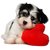 Tallenge - Valentines Day Gift - Cute Puppy with its Love - A3 Size Premium Quality Rolled Poster