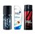 AXE Deodorant + Head  Shoulder Hair Conditioner + Wild Stone Deodorant  Exclusive Combo for Men  Women