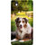 WOW Printed Back Cover Case for Infocus M810