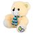 Tabby Toys Cute Muffler Teddy-30cm(Butter  Green)