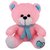 Tabby Toys Cute Muffler Teddy-30cm (Pink  Firozi)