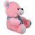 Tabby Toys Cute Muffler Teddy-30cm (Pink  Firozi)