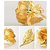 Vanyas 24KT Gold Foil Rose 25Cms