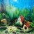 Aquarium tank wall poster 24 inch height double side 1 meter
