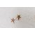 Star Shape Gold Color Earring for all Ocassions