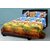 Akash Ganga Multicolor Cotton Double Bedsheet with 2 Pillow Covers (EPCBSOO3)
