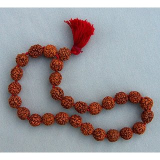 Rudraksha Japa Mala 27+1 Bead Original 