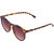 Lens Brown Tiger Print Clubmaster Wayfarer Sunglasses-LCW-0410