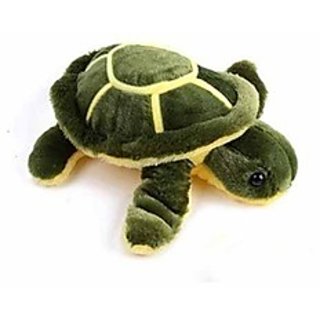 Tortoise teddy hotsell
