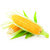 Seeds-Sweet Corn 75