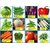 Seeds-Combo Of 15 Hybrid Vegetable For Terrace Kitchen Gardening