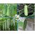 Seeds-Hybrid Vegetable Combo Pack 4 In 1 Cucumber (Green), Bottle, Snake Ridge Gourd For Kitchen Terrace