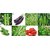 Seeds-Hybrid Vegetables Combo Of 8 Different Types For Kitchen/School/Home/Green Houses Garden Home Gardening
