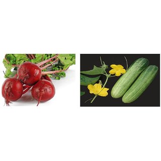 Hybrid Seeds Combo Pack Beetroot Seeds And Cucumber Seeds(pack Of 2 Per Pack 50 Seeds)