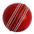 Cricket leather ball