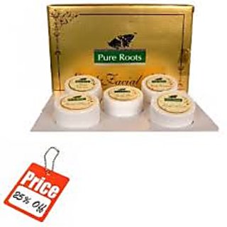 pure roots facial kit price