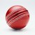 Shopperchoice Cricket Leather Ball - Pack Of 1