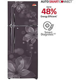 LG GL-U302JGOL 284 Litres Double Door Frost Free Refrigerator (Graphite Orchid)