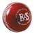 BS  Leather Cricket Ball