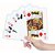 Plastic Playing Cards (Pack of 2)