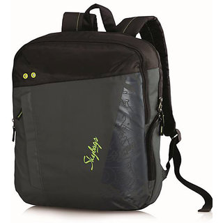 skybags ion 02