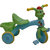 Olly Polly Kids Multicolor Plastic Tricycle with Pedals-Gift Toy