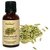 Devinez Fennel Seed Essential Oil, 100 Pure, Natural  Undiluted, 15ml in Glass Bottle