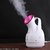 Facial Ionic Steamer SQ - 518 Mini Facial Steamer+ FREE SPONGE FOR CLEANING