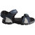 Elligator Stylish 1101 Blue  Green  Floater For MEn