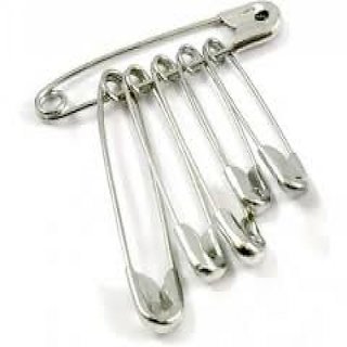 safety pin liberal