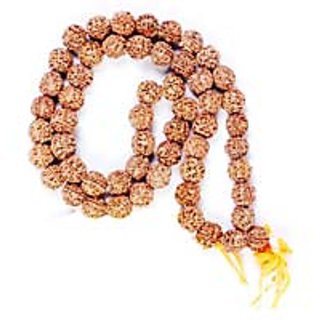 Buy 27 1 3 Mukhi Rudraksha Mala Buy Online Online Get 82 Off 3 mukhi three faced genuine rudraksha beads, symbol of god agni. shopclues